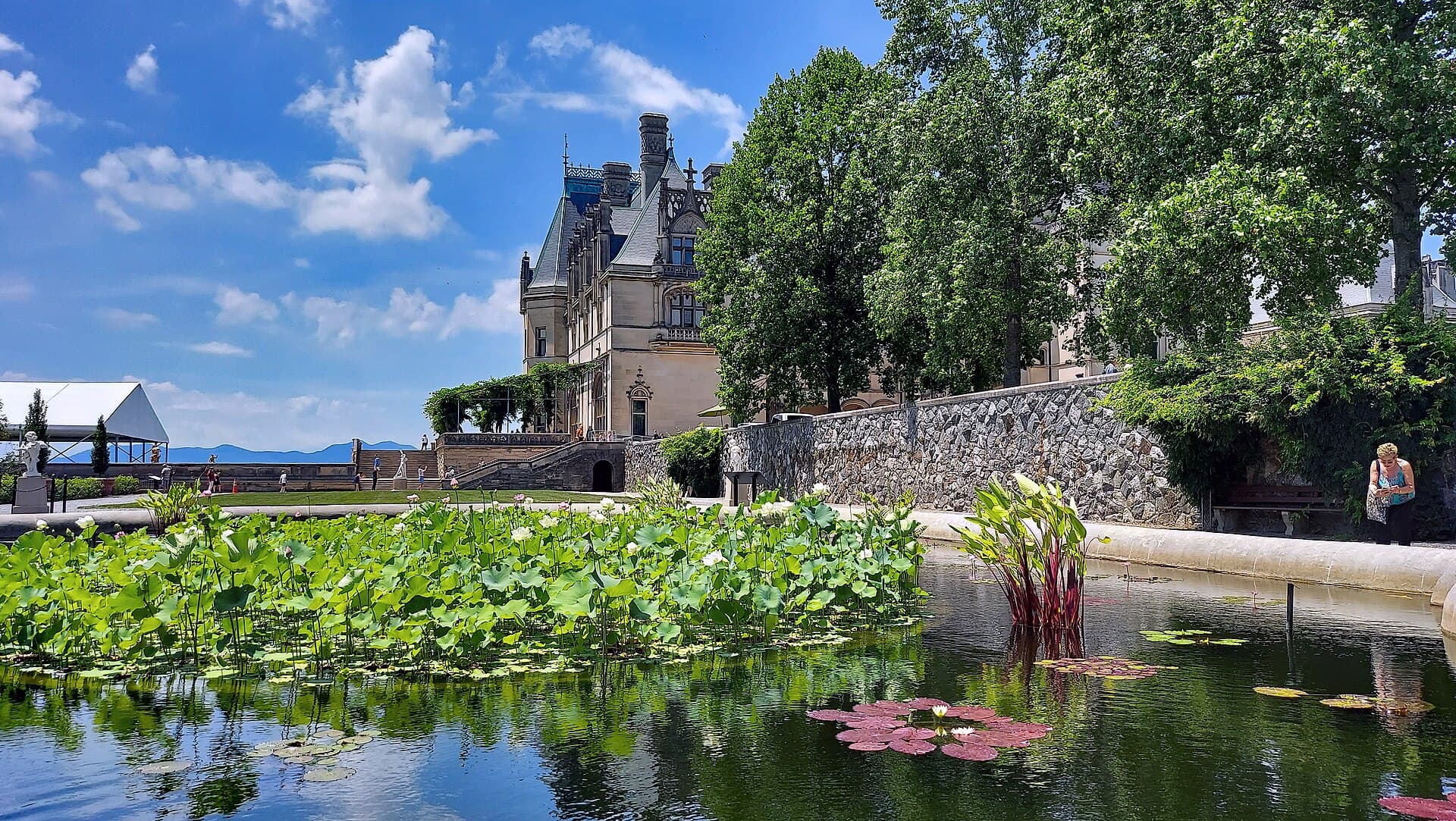 Lily pools in the Italian Garden with Biltmore House beyond