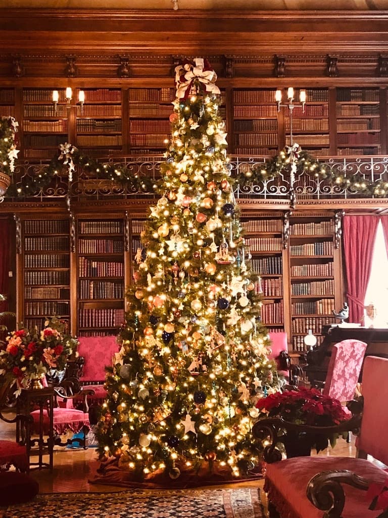 A tall lit Christmas tree in the two-story Library at Biltmore House