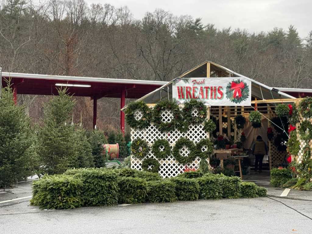 Fresh wreaths and Christmas trees for sale at the Western North Carolina Farmers Market