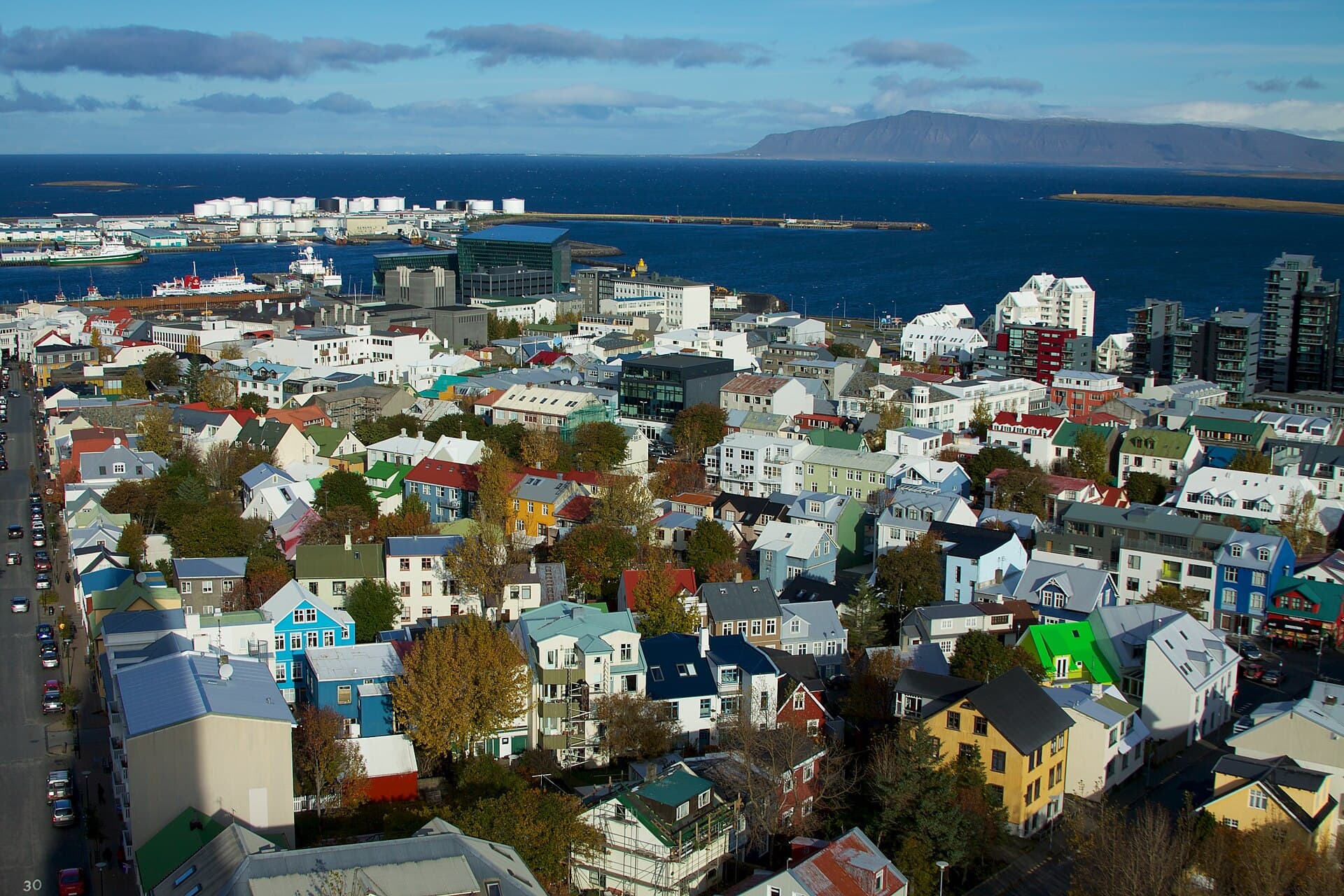 Viking Reykjavík, Whales & Immersive Iceland