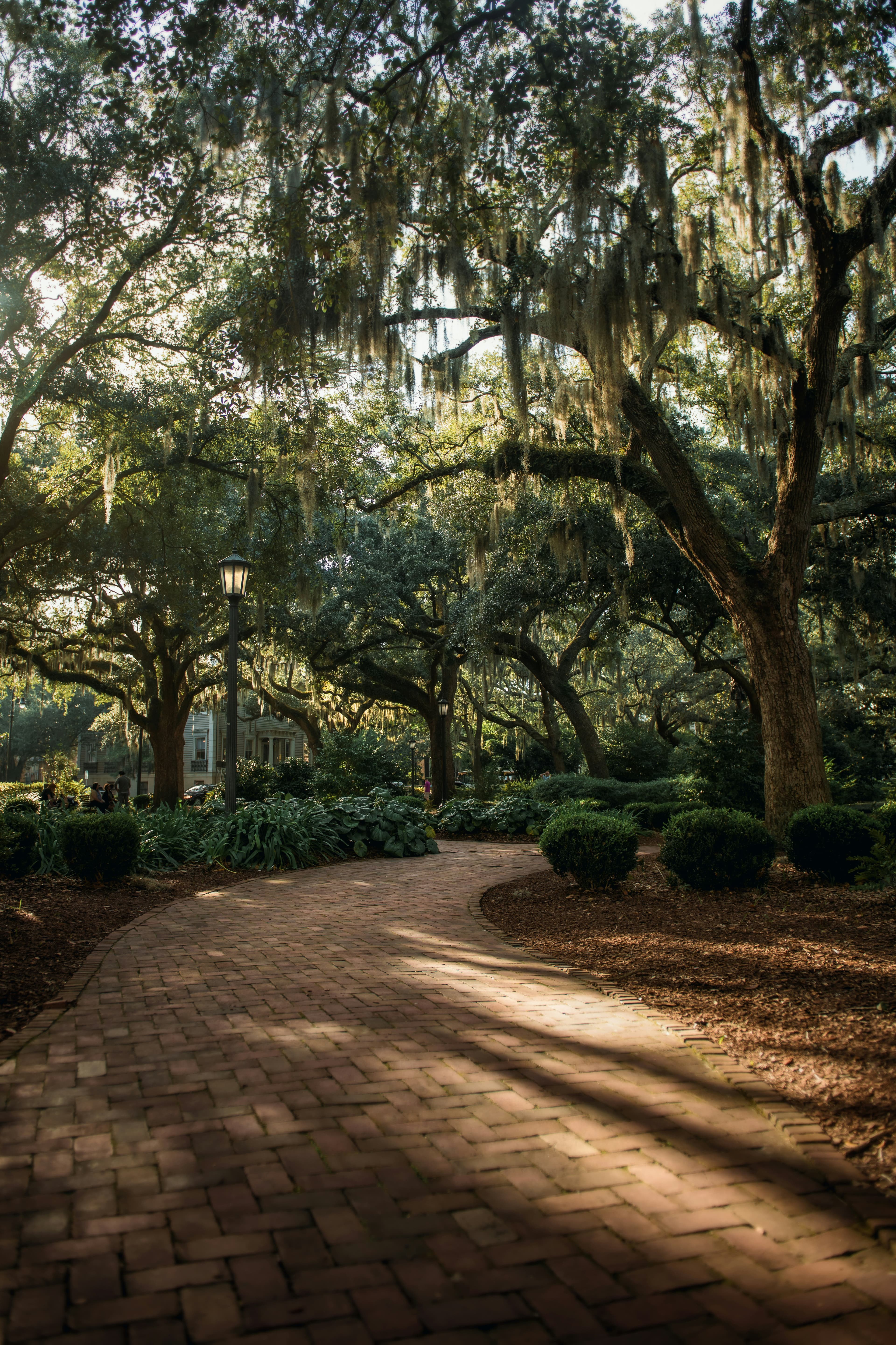 Savannah Southern Splendor